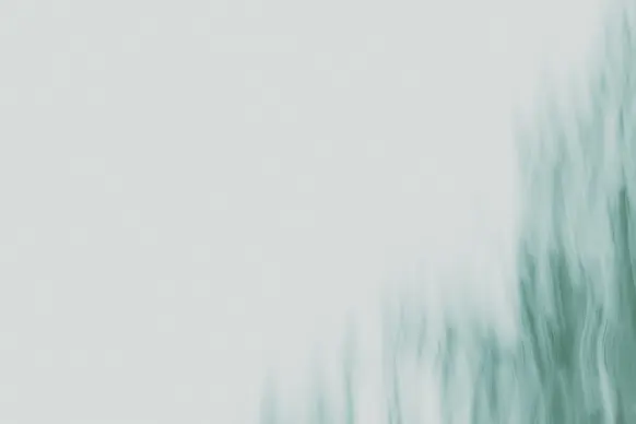 Casino Wild Tornado Suporte